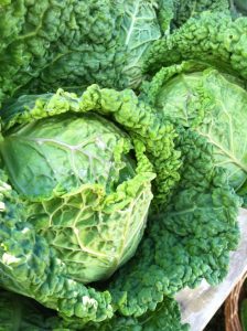 Stout Oak Farm savoy cabbage