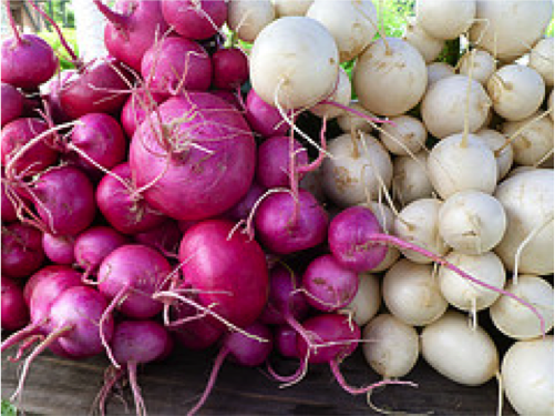 Turnips, photo by Caitlin Porter
