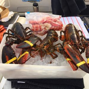 maine lobsters